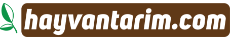hayvantarim